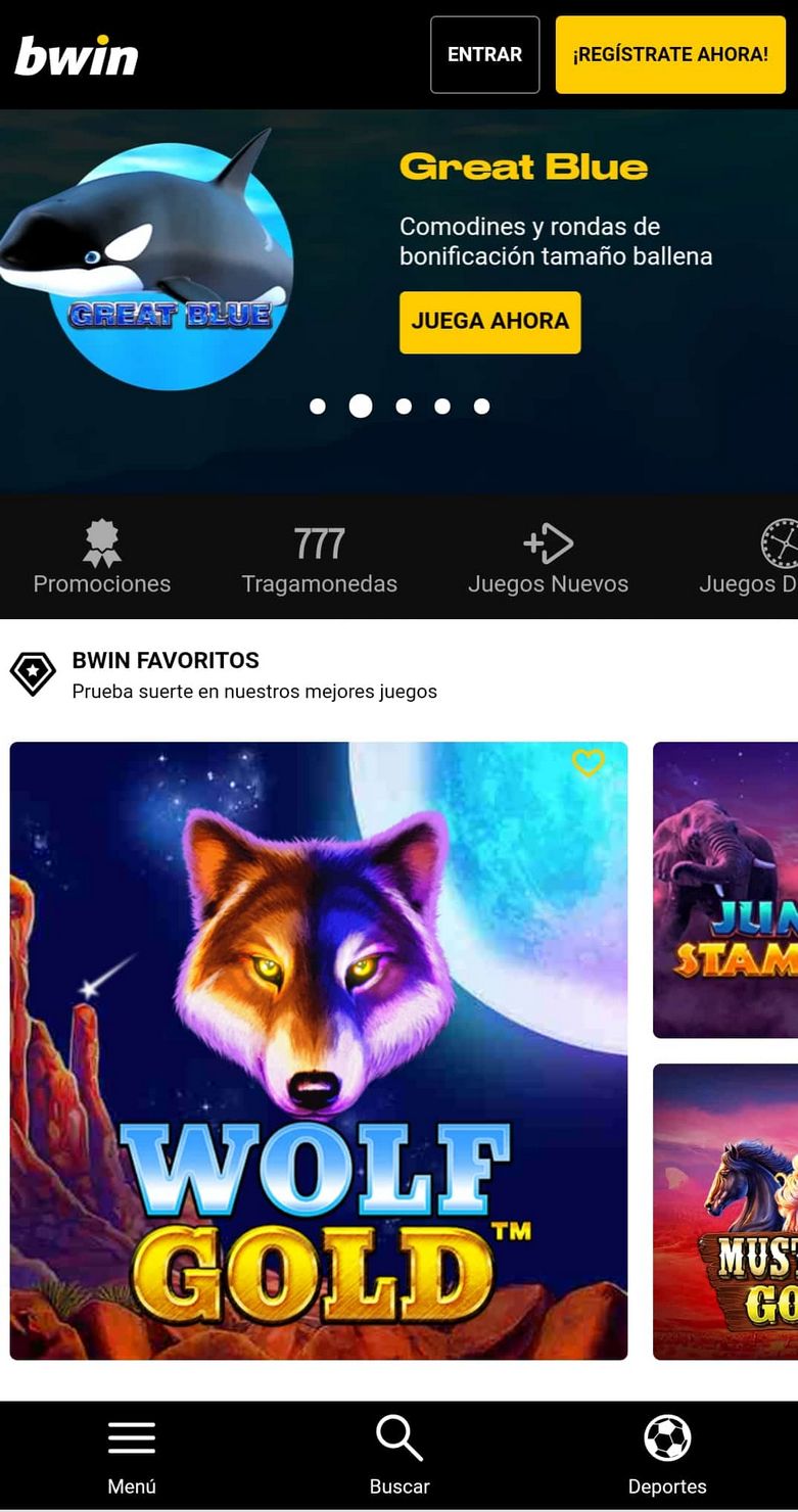 Bwin Casino Bewertung